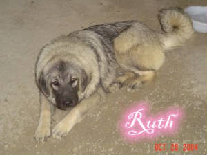 Ruth5